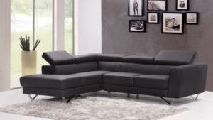 L shaped Sofa